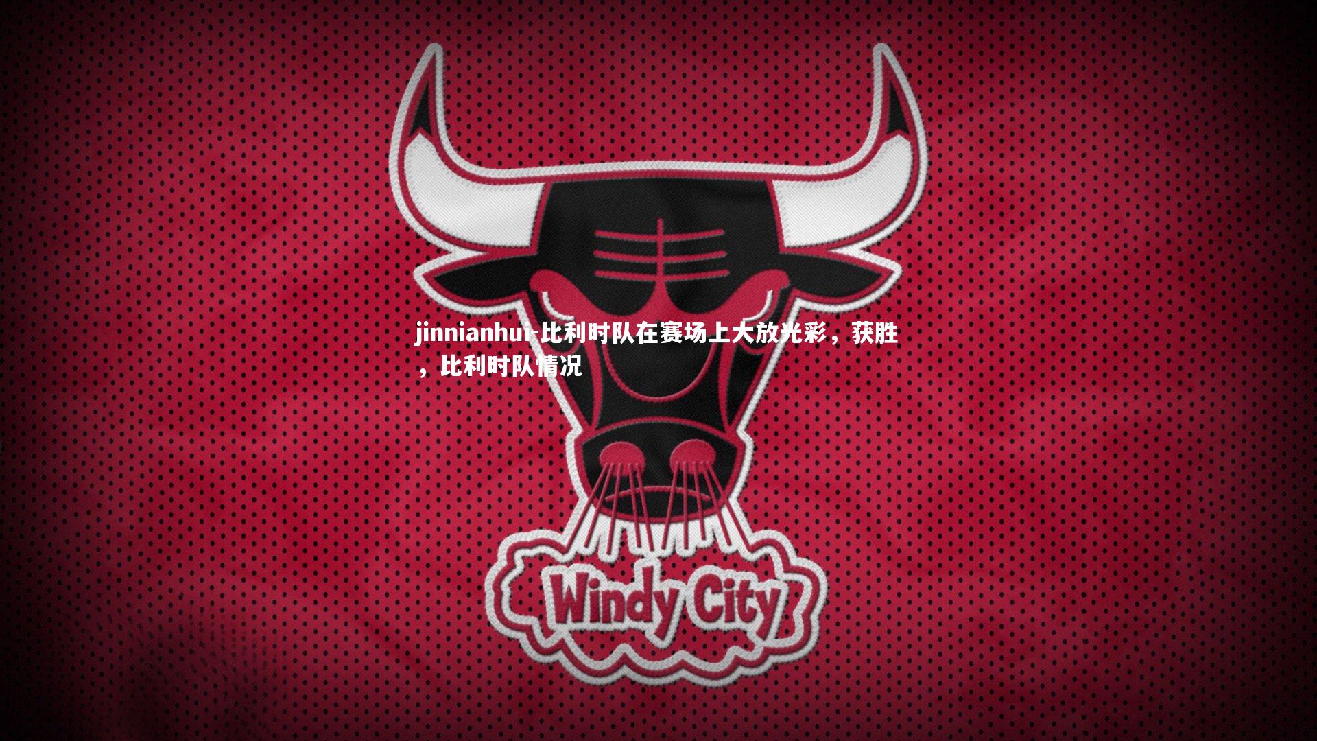 jinnianhui-比利时队在赛场上大放光彩，获胜，比利时队情况